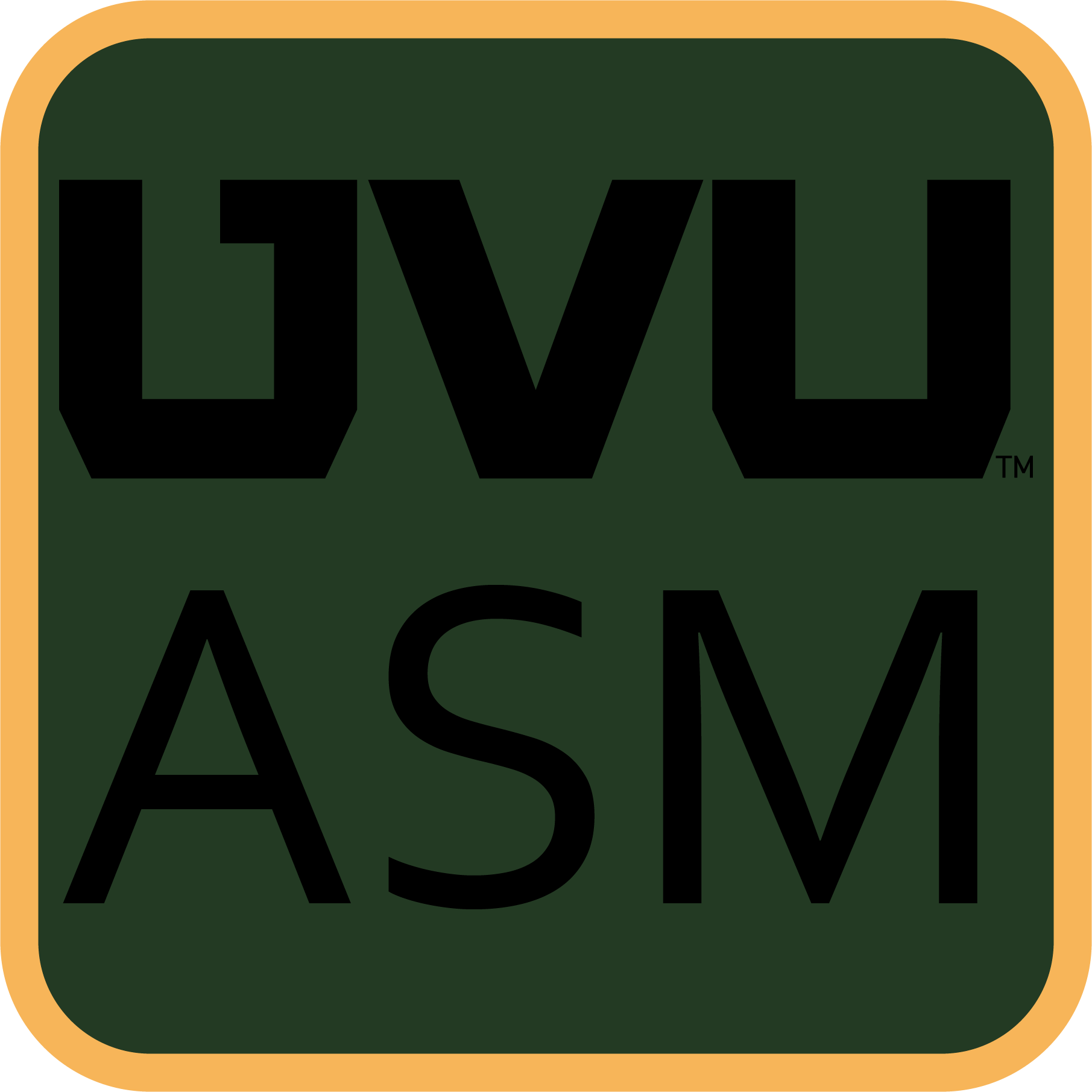 UVU ASM Language Support
